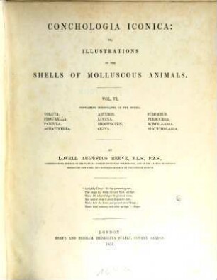 Conchologia iconica: or, illustrations of the shells of molluscous animals. VI