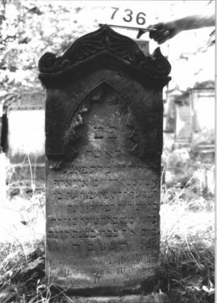 Grabstein 736