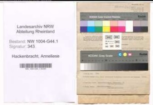 Entnazifizierung Anneliese Hackenbracht , geb. 24.04.1910 (Witwe)