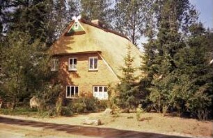 Steinfeld 36: Backsteinkate mit Reetdach: Giebelseite Wohntrakt: an Giebelspitze Verbretterung, Fensterchen, Giebelzier Pferdeköpfe: vorne Straße