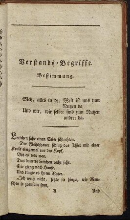 Verstands-Begriffe.
