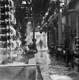 Bitterfeld-Wolfen. Säurekühler in der Farbenfabrik, Arzneimittel (Diplomarbeit)