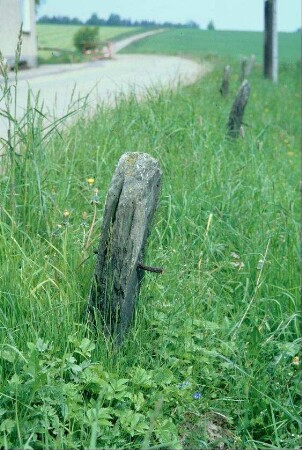 Schieferzaunpfähle ohne Zaun