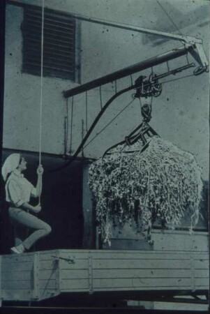 Fotografie: Fütterungstechnik, Grünfutter, Greiferanlage