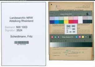 Entnazifizierung Fritz Scheidtmann , geb. 17.05.1899 (Milchhaendler)