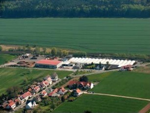 Breitenholz