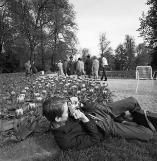 Fotografieren im Stadtgarten während der Bundesgartenschau.