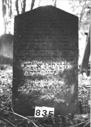 Grabstein 835 (Index: 99899243) Material: Sandstein Zustand: angewittert Maße HxBxT: 103x58x10 cm Beschreibung: Stele mit abgeflachem Dreiecksabschluss, von der Spitze herabhängende Blüte Symbolik: Blüe: Grabstein 835