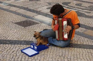 Lissabon - Junge bettelt mit Hund : Lissabon Zentrum, Stadtviertel Beixa, Fußgängerzone Rua Augusta, kleiner Bettler-Musikant mit Hund, aufgenommen 2006
