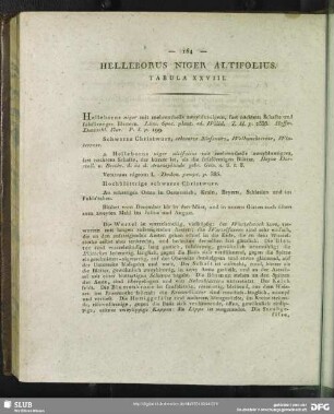 Helleborus Niger Altifolius. Tabula XXVIII.