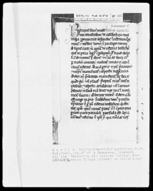 Sermones diversi — ---, Folio 25versoBuchseite