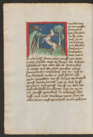 Rabe und Einhorn