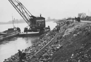 Uferabflachung "Kurve Speyer"/Rhein