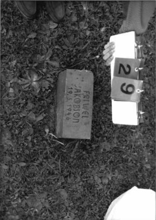 Grabstein 29
