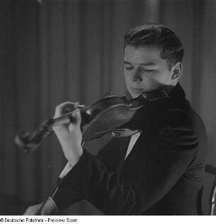 Porträt Violinist Manfred Scherzer