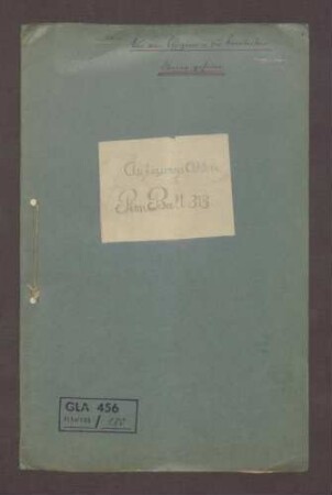Auflösung des Reichswehr-Pionier-Bataillons 313