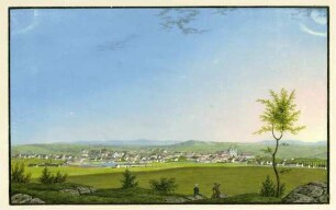 Donaueschingen von Westen