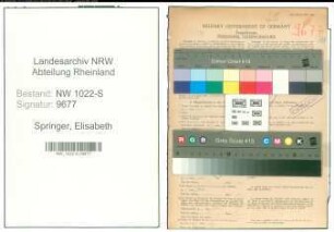 Entnazifizierung Elisabeth Springer , geb. 26.10.1895 (Lehrerin)