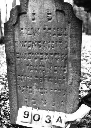 Grabstein 903 (Index: 99753236) Material: Sandstein Zustand: gut Maße HxBxT: 113x53x8 cm Beschreibung: Stele, geschwungen eingezogener Rundbogenabschluß, Schriftfeld eingetieft: Grabstein 903A