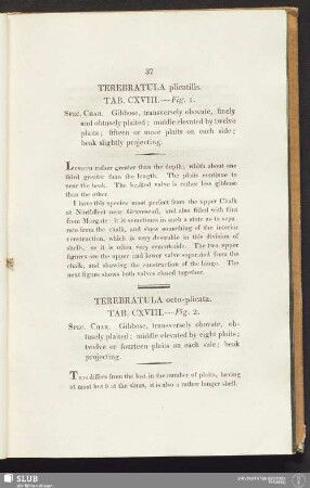 Terebratula plicatilis. Tab. CXVIII. --- Fig. 1