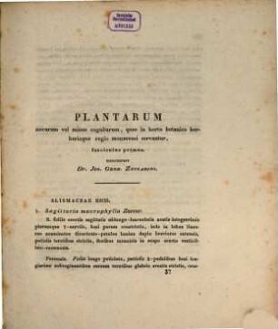 Plantarum novarum vel minus cognitarum quae in horto botanico herbarioque regio Monacensi servantur, 1