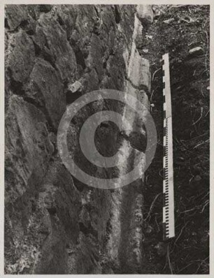 Sockelprofil an der südlichen Langhauswand der Kirchenruine Neukirch