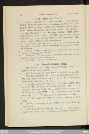 § 24. Verba ע“ע (Tafel V).