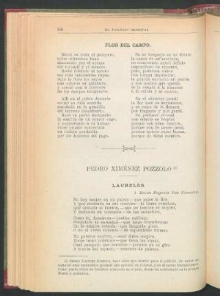 Flor del campo.