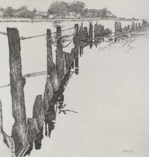 Buhnen