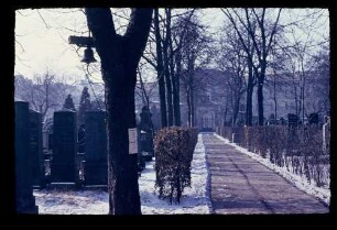 Jerusalemer Friedhof 21.2.54.