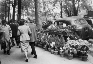 Paris. Ein kleiner Markt am Rande der Straße. Blumen und Grünpflanzen werden angeboten. Fußgänger schlendern vorbei