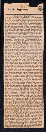 Artikel über die Schaffhauser Knochenhöhlen
