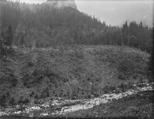 Bewaldeter Berghang am Fluss : Blick auf einen bewaldeten Berghang an einem Fluss