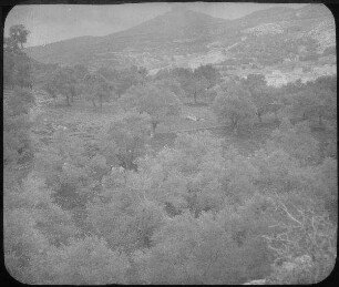kal'at errabad [kalat er-rabad] von O.