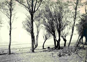 Am Elbstrand bei Bishorst an der Elbe am 06.05.1928.