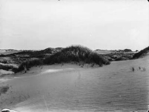 Dünenlandschaft : Blick über die Dünen bei Hörnum auf Sylt