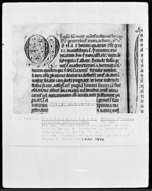 Hs. 655 & Weißer Ottobeurer Codex & Necrologium & Regula S. Benedicti & fol 53v