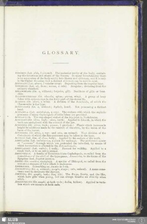 Glossary