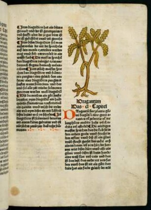 87r-87v, Dragantum (150. Kapitel)