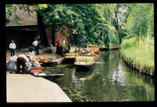 Spreewald 26.7.84.