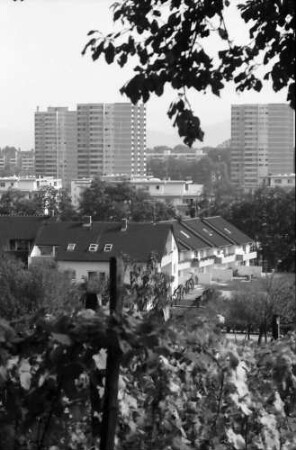 Freiburg, Lehen: Von der Kirchstraße Richtung Landwasser, Vordergrund Weinreben