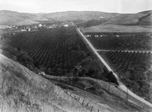 Moraga Valley : Blick in ein Tal mit Feldern