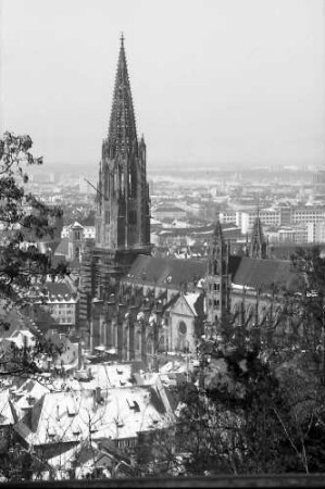 Freiburg: Münster vom Kanonenweg
