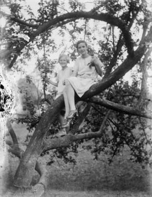 Mittelsachsen, zwei junge Frauen in einem Baum sitzend : Mittelsachsen. Zwei junge Frauen in einem Baum sitzend