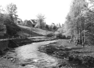 Freiberg. Ansicht über die Mulde gegen Uferweg und Wohnhäuser. Blick flussaufwärts
