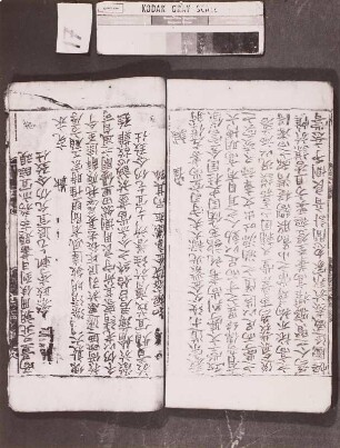 Dongindzimun (Die Literatur Koreas von der Silla-Dynastie bis zum König Rjol der Gorö-Dynastie