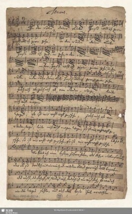 Stimmensatz [Schreiber: Opitz, J. S.]
