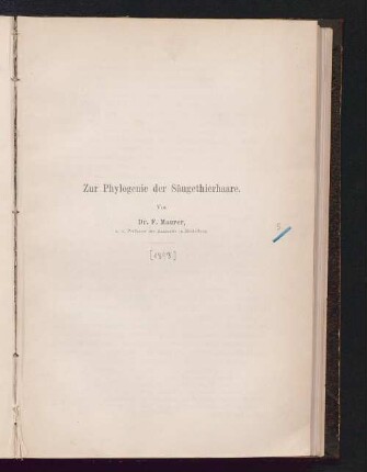 Zur Phylogenie der Säugethierhaare