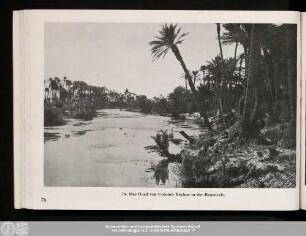 78. Das Oued von Colomb-Béchar in der Regenzeit.