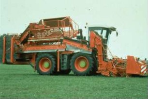Fotografie: Trägerfahrzeug, Erntetechnik, Zuckerrübenköpfrodebunker selbstfahrend